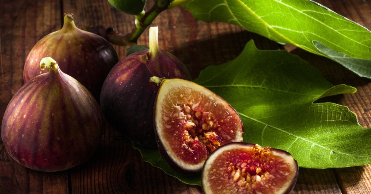 A fügelevél szörp készítésének titkai: ízletes és egészséges ital házilag