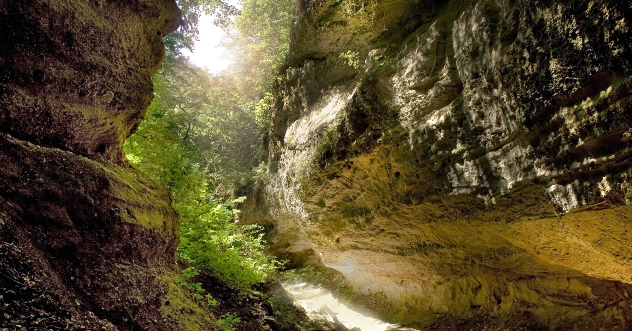 Ez a palóc Grand Canyon! – kirándulj a Páris-patak szurdokvölgyében