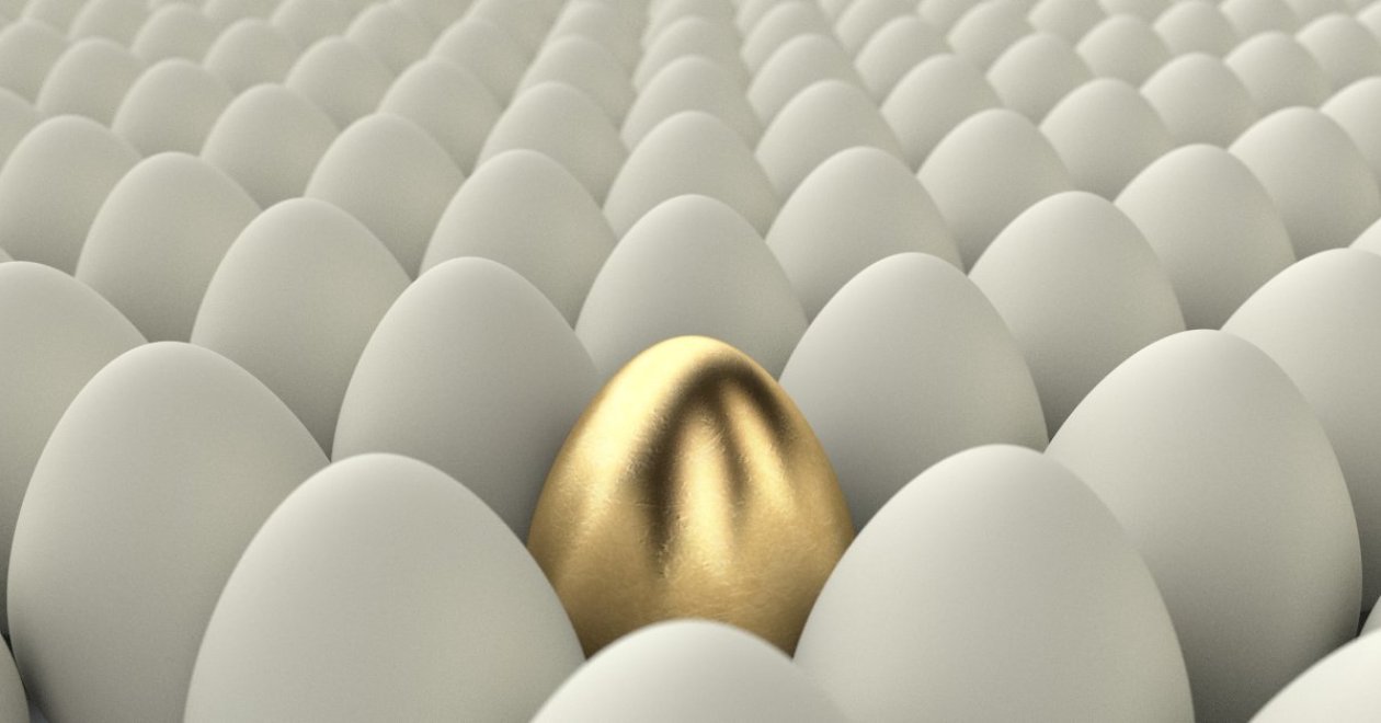 Ki a jó SEO szakember?