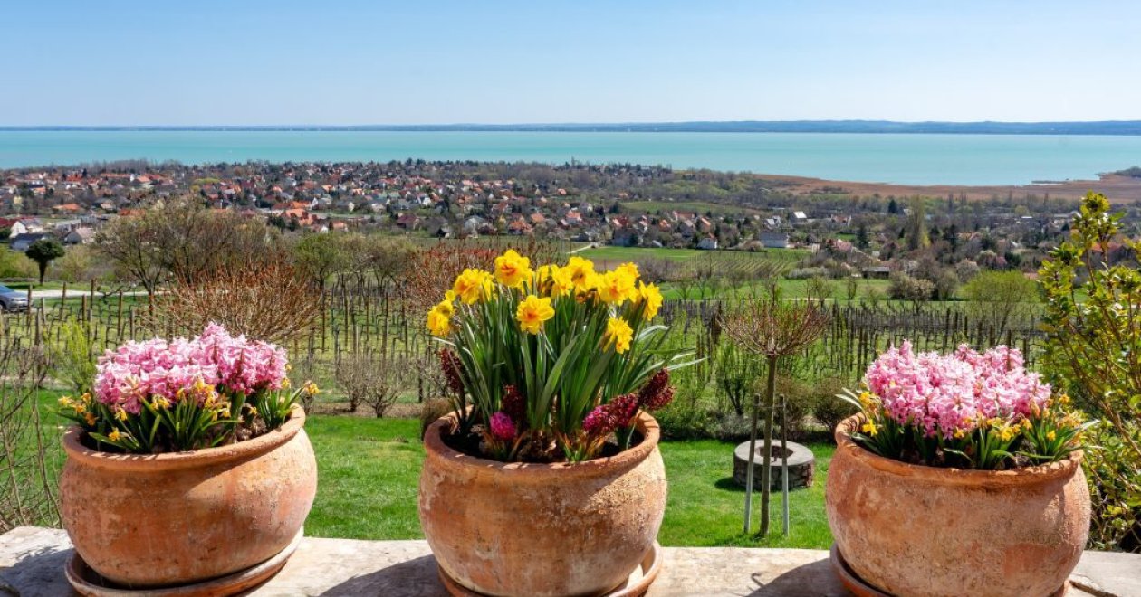 Hétvégi program a Balatonon: Komplett útiterv 2 napra, ha kerülnéd a tömeget